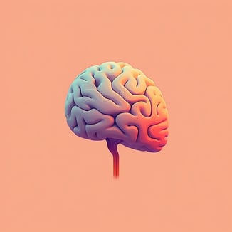 Brain